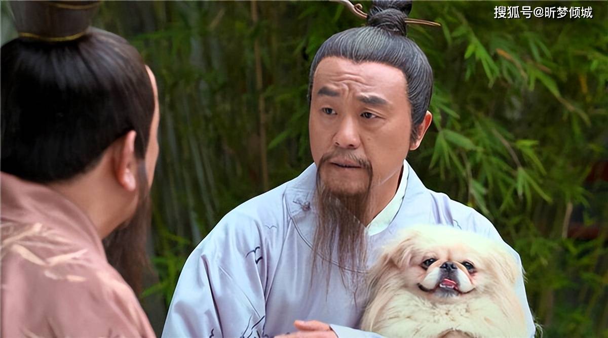 揭秘劉伯溫四不象一肖的神秘面紗——探尋背后的傳奇故事，揭秘劉伯溫四不象一肖背后的傳奇故事，神秘面紗下的神秘傳說(shuō)