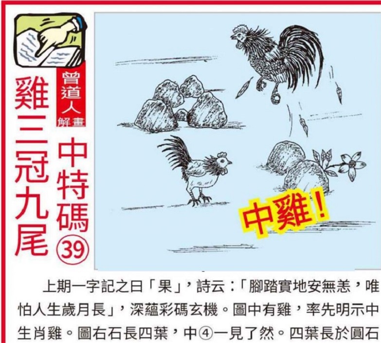 澳門2025全年資料大全正版資料權(quán)威指南，澳門2025全年正版權(quán)威指南，全面資料大全與權(quán)威解讀