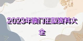 澳門資料大全正版資料查詢，探索澳門的文化與歷史深度之旅，澳門文化與歷史深度探索，正版資料大全及查詢指南