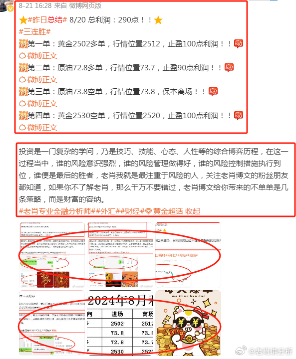 王中王香港一肖，揭秘背后的故事與SEO奧秘，王中王香港一肖背后的故事與SEO奧秘揭秘