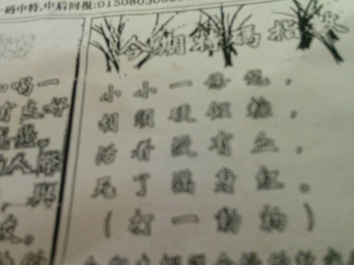 揭秘必中劉伯溫猜一生肖的神秘面紗，揭秘劉伯溫生肖預(yù)測(cè)背后的神秘面紗
