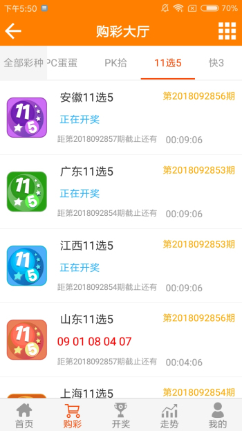 王中王資料一肖一特，深度解析與探索，王中王資料一肖一特，深度解析與探索揭秘