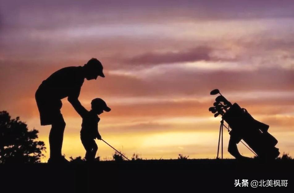 森林高手王中王與神秘生肖——深度解讀背后的故事與秘密，森林高手王中王與神秘生肖，故事背后的深度解讀與秘密探尋