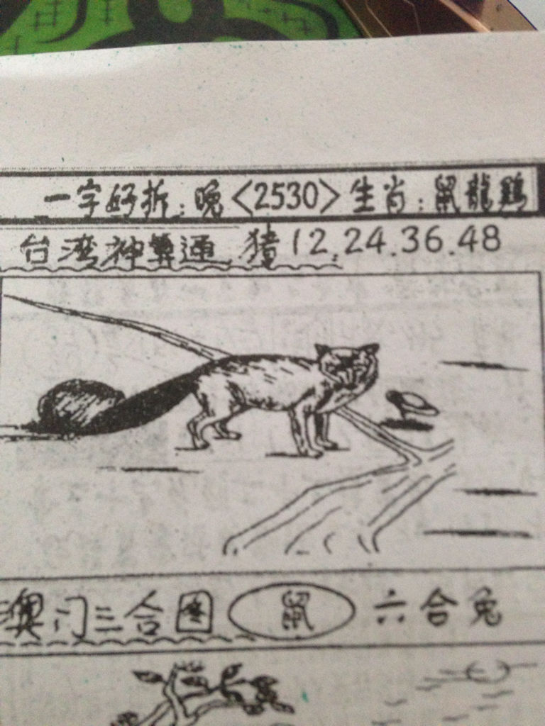 揭秘生肖奧秘，看圖猜一生肖劉伯溫的傳奇故事，揭秘生肖奧秘，劉伯溫傳奇故事中的生肖之謎探索
