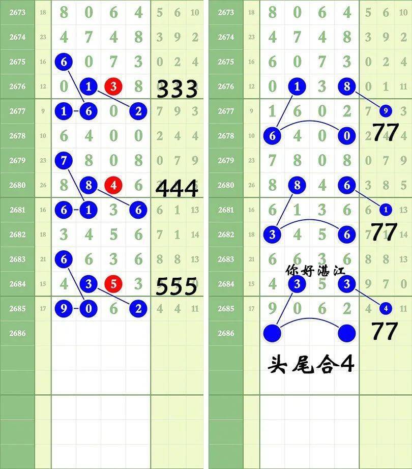 一肖三碼王中王絕密，揭秘背后的秘密與策略洞察，揭秘一肖三碼王中王絕密策略與背后秘密