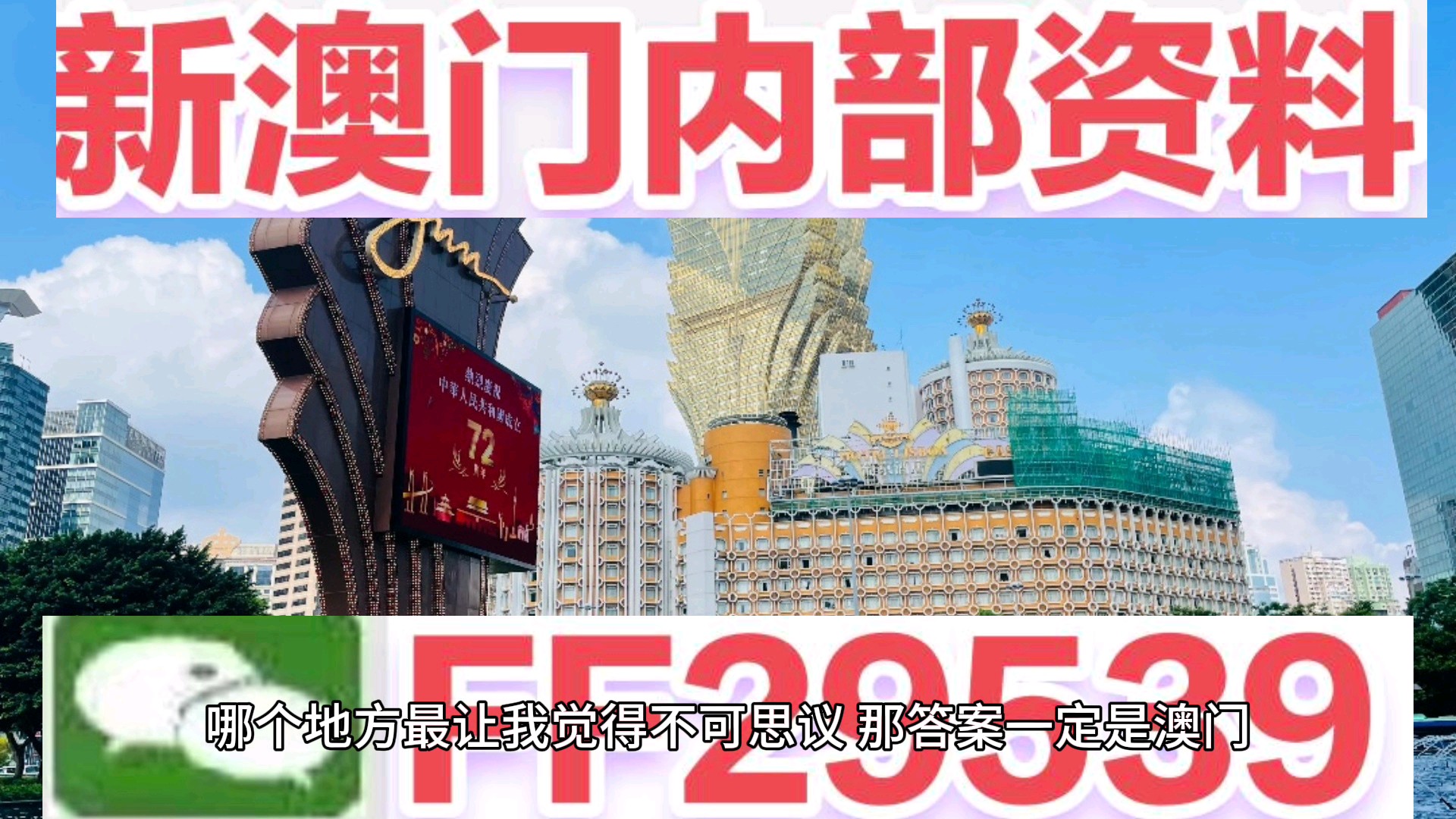 新奧門一肖一馬圖片資料，探索與揭秘，新奧門一肖一馬圖片資料，探索與揭秘其神秘面紗