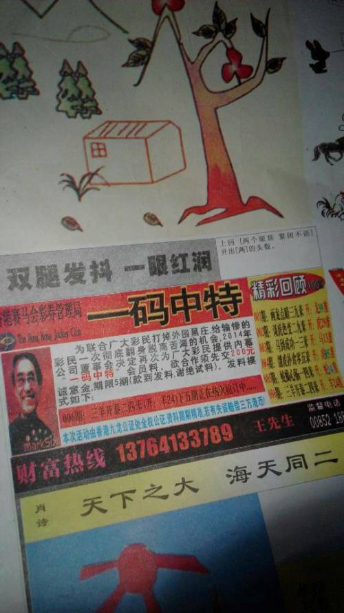 欲錢詩猜一肖——探尋王中王的奧秘，探尋王中王的奧秘，欲錢詩猜一肖