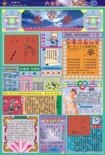 王中王四肖三期開特一，深度解析與探索，王中王四肖三期開特一，深度剖析與探索揭秘