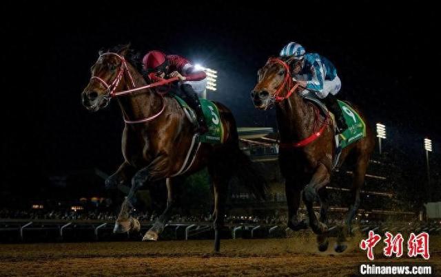 香港王中王一肖中特馬，探索背后的奧秘，香港王中王一肖中特馬背后的奧秘探索