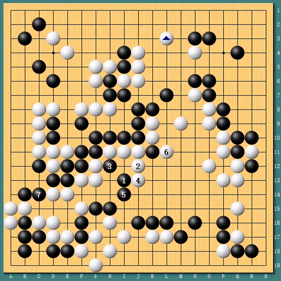 王中王四肖一碼資料論壇，探索與解析，王中王四肖一碼資料論壇，深度探索與解析