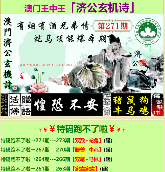 王中王資料一肖中特財(cái)補(bǔ)，深度解析與探索，王中王資料一肖中特財(cái)補(bǔ)，深度解析與探索揭秘