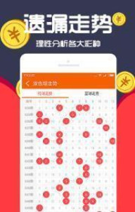 王中王一肖十，深度解析與SEO優(yōu)化策略，王中王一肖十深度解析與SEO優(yōu)化策略探討