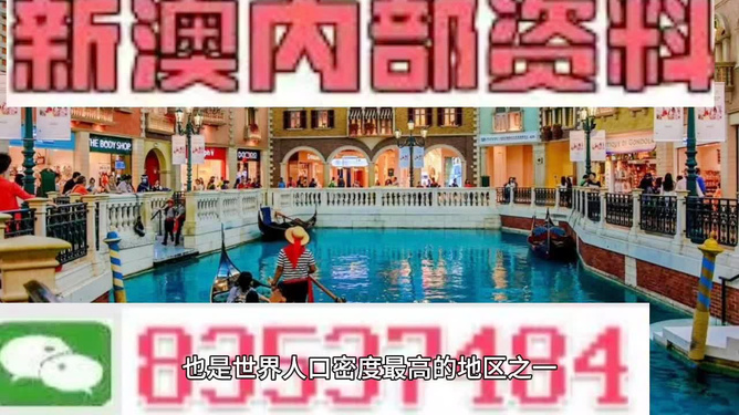 澳門王中王六碼新澳門，探索與解析，澳門王中王六碼新澳門，深度探索與解析