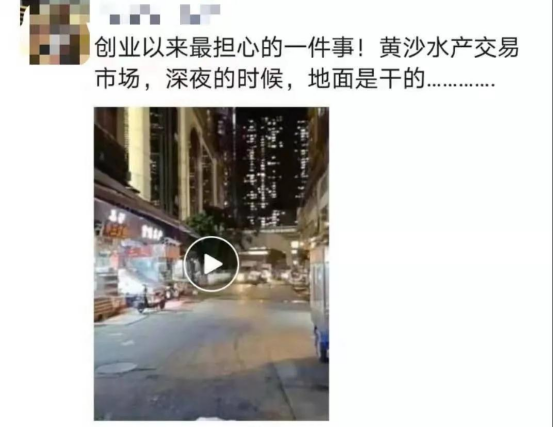 好料盡在王中王——揭秘生肖運勢的獨特魅力，揭秘生肖運勢獨特魅力，王中王好料大解密