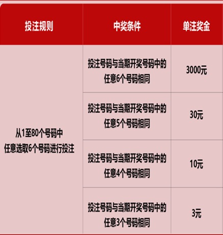 新澳門六開彩天天開獎(jiǎng)結(jié)果，揭秘彩票背后的秘密，揭秘新澳門六開彩天天開獎(jiǎng)背后的秘密