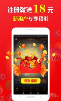 王中王的一肖，探尋背后的奧秘與故事，王中王的一肖，揭秘背后的奧秘與傳奇故事