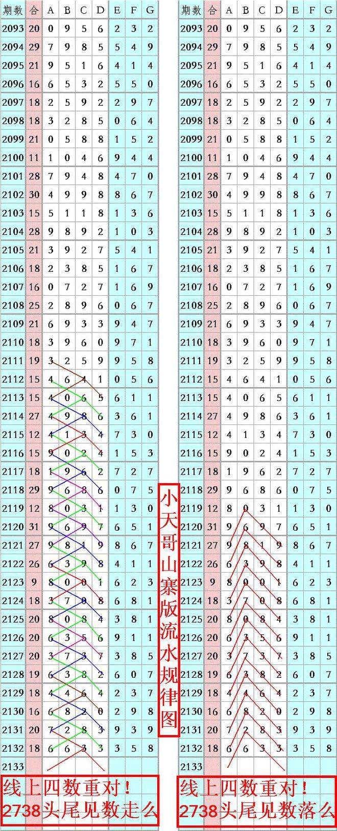 王中王資料一肖正特馬，深度解析與探索，王中王資料一肖正特馬深度解析與探索揭秘
