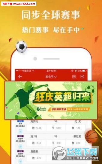 王中王一肖，歡迎您的到來，探索無與倫比的精彩世界，王中王一肖，探索無與倫比的精彩世界之旅