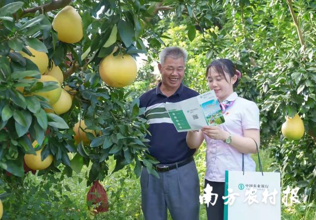 資料大全正版資料2025，一站式獲取所有你需要的信息，資料大全正版資料2025，一站式獲取所有信息總匯