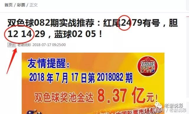 王中王082期指一生肖——探尋生肖魅力，洞悉運(yùn)勢(shì)奧秘，探尋生肖魅力，揭秘運(yùn)勢(shì)奧秘——王中王生肖運(yùn)勢(shì)解析 082期