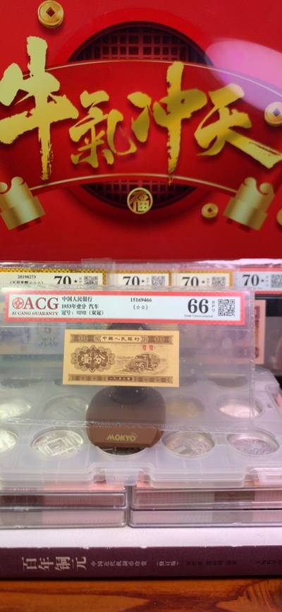 王中王平特一肖125，揭秘背后的故事與奧秘，揭秘王中王平特一肖背后的故事與奧秘 125號揭秘真相