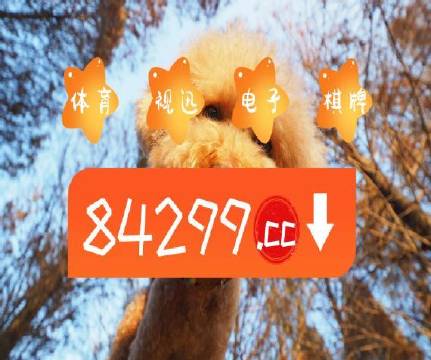 澳門天天開彩好正版掛牌第168期，探索彩票的魅力與策略，澳門彩票探索，魅力與策略揭秘 第168期正版掛牌開彩體驗(yàn)