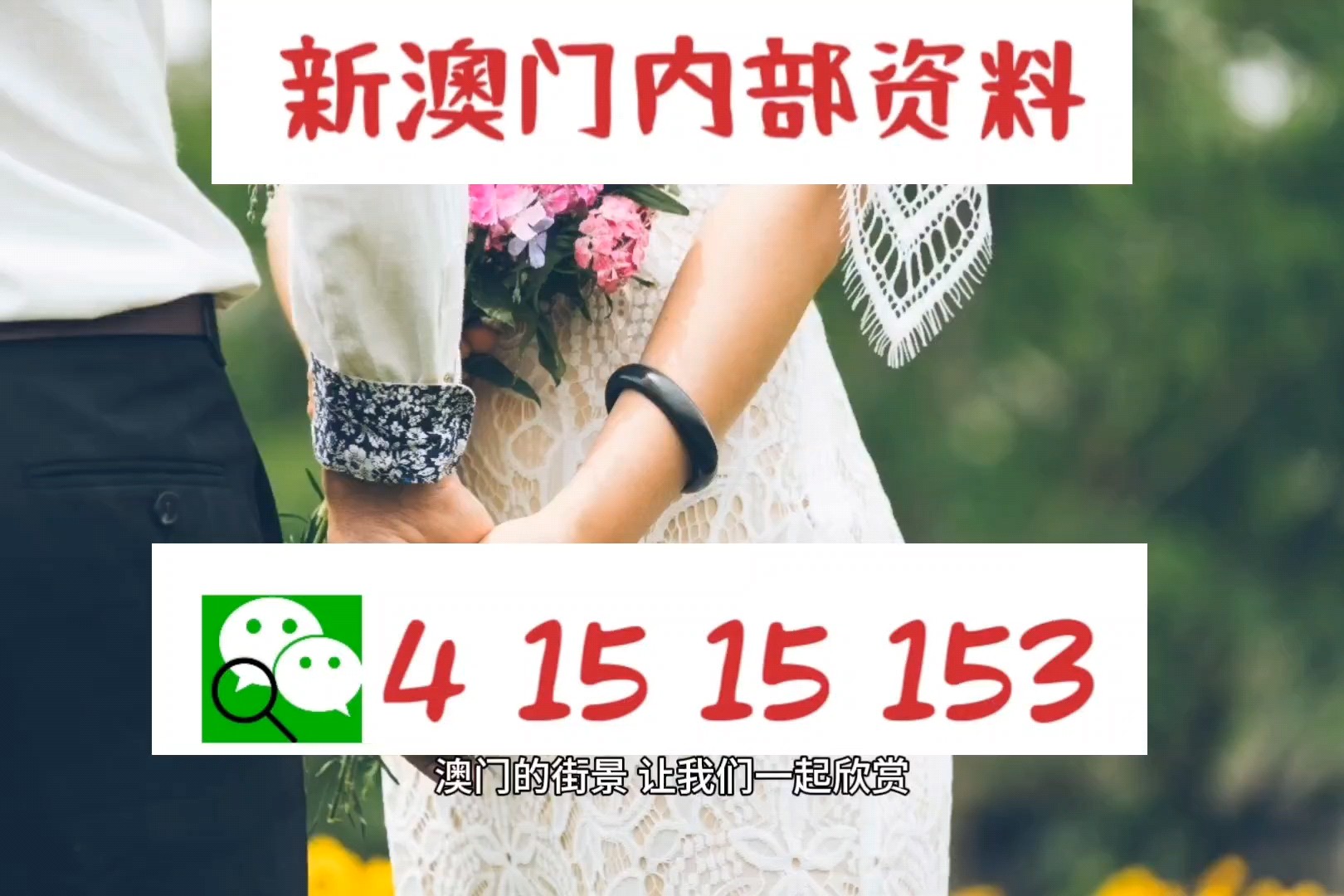 新澳精準資料，深度解析與探索，新澳精準資料深度解析與探索之旅