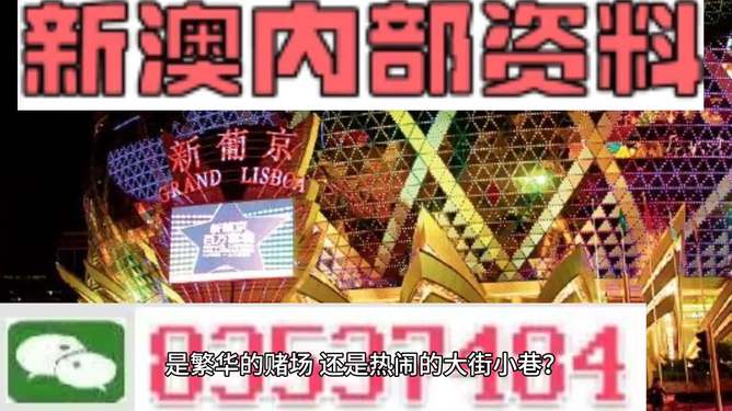 新澳門精準(zhǔn)資料大全管家婆料，探索與解析，澳門精準(zhǔn)資料大全解析，探索管家婆料內(nèi)幕