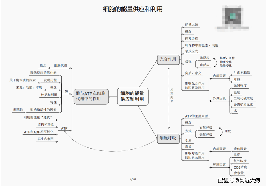 澳門管家婆三期必開一特，揭秘背后的秘密與策略，澳門管家婆三期必開一特揭秘，背后的秘密與策略全解析