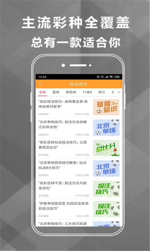 王中王493333中特馬網(wǎng)站——探索彩票樂趣的首選平臺(tái)，王中王493333中特馬網(wǎng)站，彩票樂趣的首選探索平臺(tái)