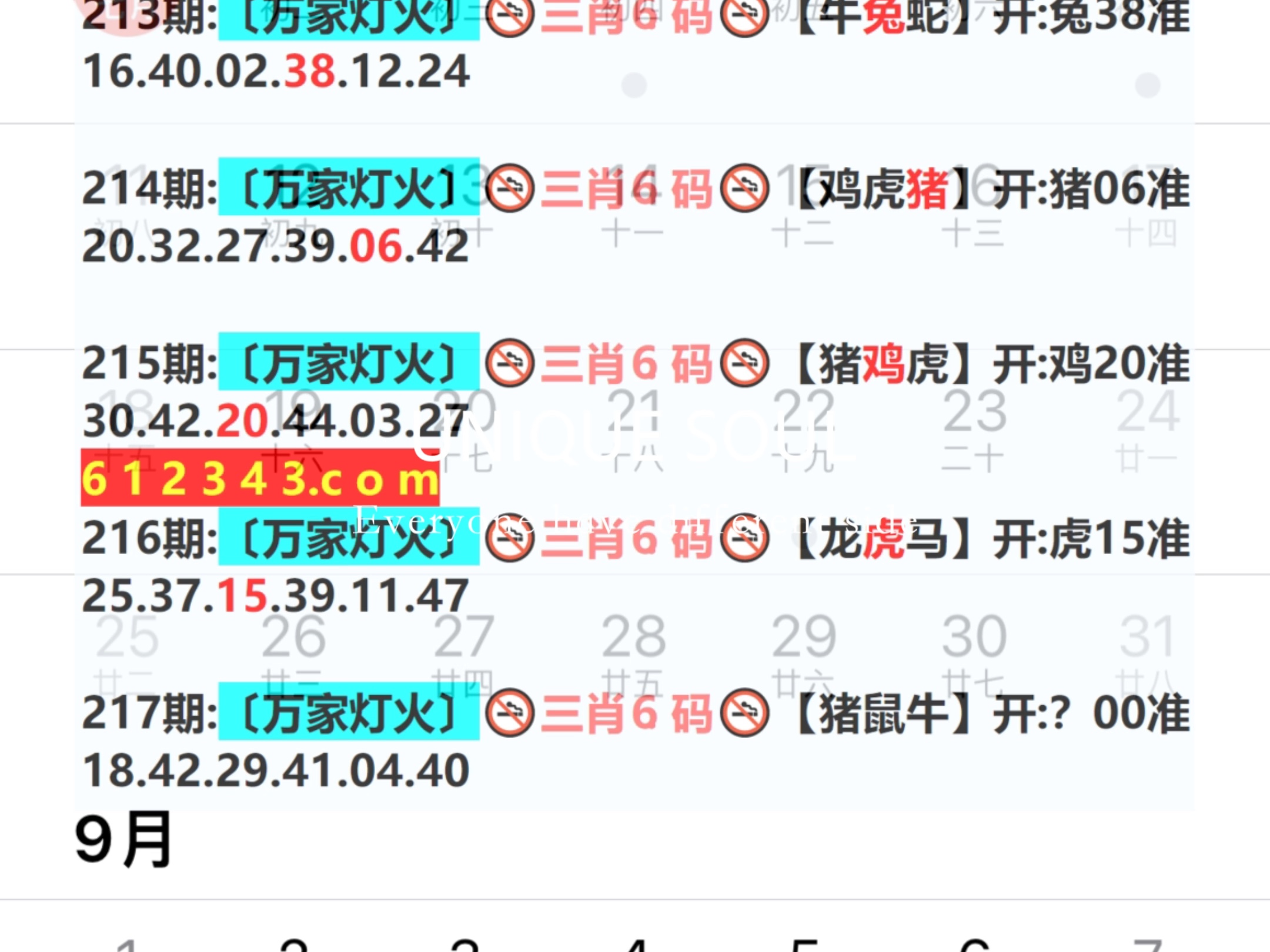 新奧今日六肖中特，揭秘背后的秘密與趨勢(shì)分析，揭秘新奧今日六肖中特背后的秘密與趨勢(shì)分析