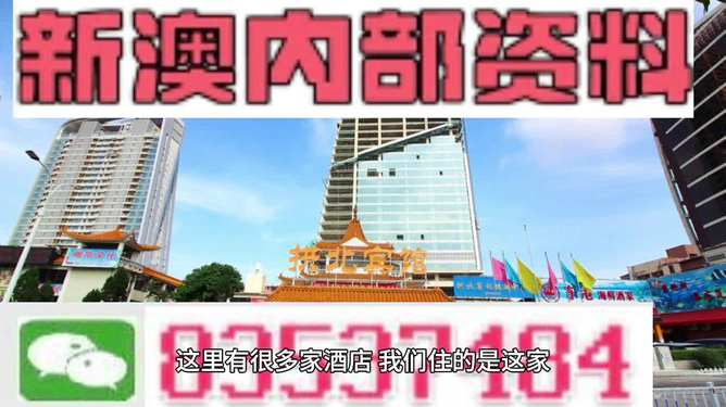 新澳內(nèi)部期期精準(zhǔn)，深度解析與SEO優(yōu)化策略，新澳內(nèi)部期期精準(zhǔn)深度解析與SEO優(yōu)化策略探討