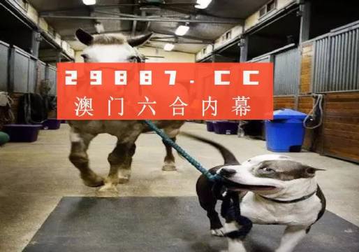 澳門一肖一碼一必中一肖，同舟前進的奧秘與策略，澳門一肖一碼必中策略與前進奧秘，同舟共濟的揭秘與策略