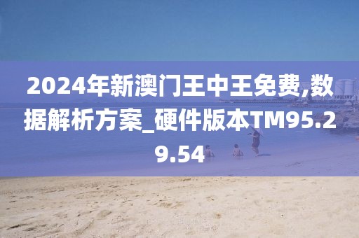 揭秘未來之星，2025新澳王中王，揭秘未來之星，2025新澳王中王風采展示