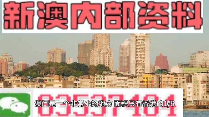 澳門精準資料大全免費，探索與解析，澳門精準資料大全免費解析探索