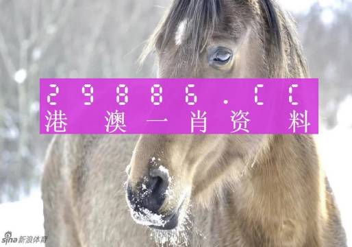 澳門(mén)一肖一碼，揭秘一個(gè)關(guān)于精準(zhǔn)預(yù)測(cè)背后的故事，澳門(mén)一肖一碼揭秘，精準(zhǔn)預(yù)測(cè)背后的神秘故事