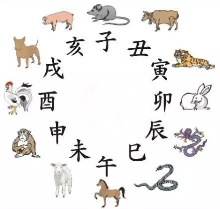 澳門天天彩期期精準十二生肖預測——揭秘彩票秘密，澳門天天彩期期精準十二生肖預測，揭秘彩票秘密之獨家解析