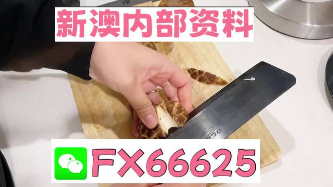 澳門(mén)九點(diǎn)半9點(diǎn)半網(wǎng)站——探索其魅力與優(yōu)勢(shì)，澳門(mén)九點(diǎn)半網(wǎng)站，魅力與優(yōu)勢(shì)探索