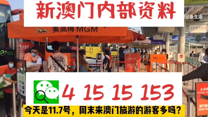 新澳今晚上9點(diǎn)30開(kāi)獎(jiǎng)直播視頻——全方位解讀與體驗(yàn)，新澳今晚9點(diǎn)30開(kāi)獎(jiǎng)直播全方位解讀與體驗(yàn)獨(dú)家呈現(xiàn)