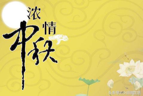 天天開好彩免費(fèi)資料大全——你不可錯(cuò)過的幸運(yùn)之門，天天開好彩免費(fèi)資料大全——開啟幸運(yùn)之門的必備指南