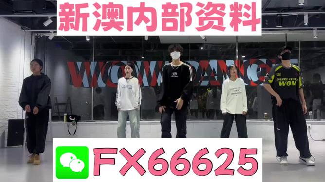 探索未來，2025新澳最新版精準特色解析，探索未來，揭秘新澳最新版精準特色解析（2025版）