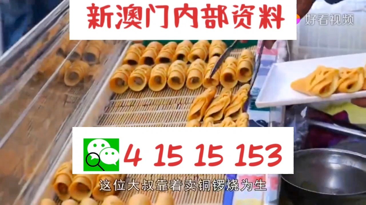 澳門天天好彩66，展望未來(lái)的美好愿景與探索（2025年），澳門天天好彩66，展望未來(lái)美好愿景與探索（2025展望）