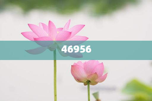 新奧集團，邁向2025，天天開好彩的愿景與挑戰(zhàn)，新奧集團邁向2025，實現(xiàn)天天開好彩的愿景與挑戰(zhàn)