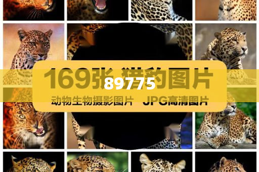 關(guān)于新奧歷史開獎(jiǎng)記錄的最新信息，今天公布了嗎？，新奧歷史開獎(jiǎng)記錄最新信息公布了嗎？