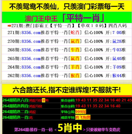 澳門王中王心水王中王，探索與解析，澳門王中王心水奧秘，深度探索與解析