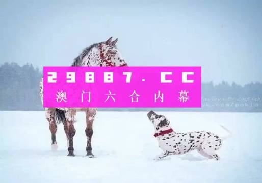 澳門一肖一碼狀元紅，揭秘彩票背后的秘密與策略，澳門彩票揭秘，狀元紅背后的秘密與策略解析