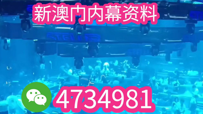 揭秘未來之星，2025新澳王中王，揭秘未來之星，2025新澳王中王風(fēng)采展示