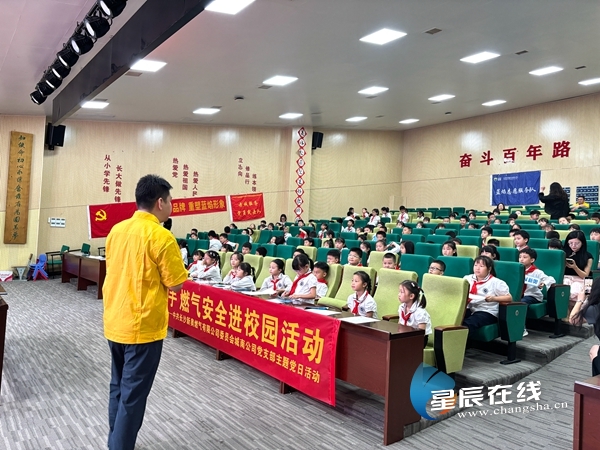 新奧49正版資料，探索與解析，新奧49正版資料深度探索與解析