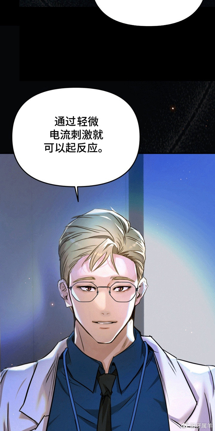 夜間診療室韓漫免費(fèi)，探索醫(yī)療與娛樂(lè)的新領(lǐng)域，夜間診療室韓漫免費(fèi)，醫(yī)療與娛樂(lè)的新領(lǐng)域探索