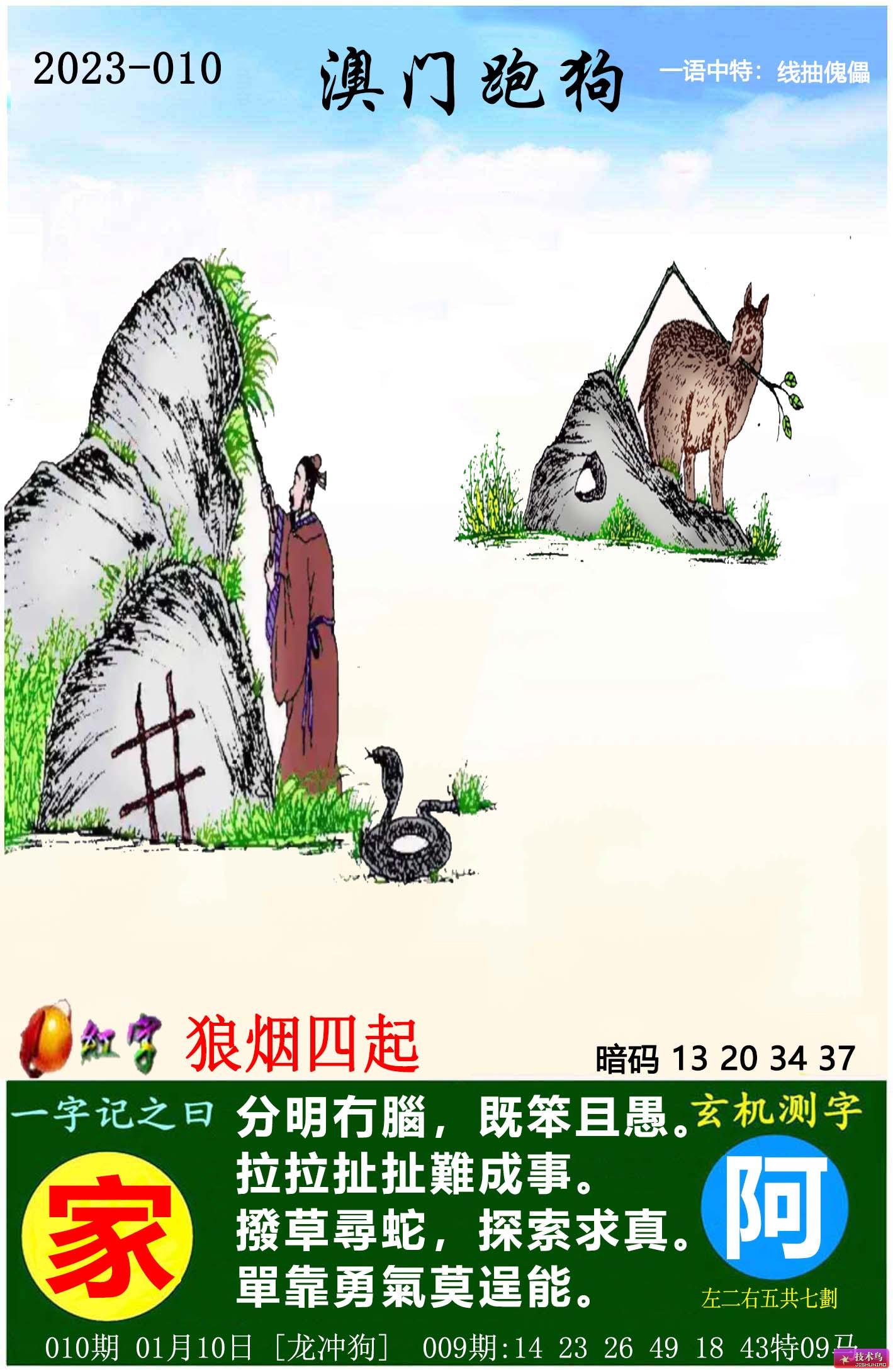 最新更新內(nèi)容，探索7777788888跑狗圖的奧秘，揭秘跑狗圖奧秘，最新更新探索7777788888的神秘面紗